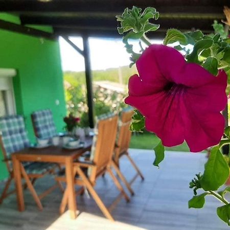 Willa Ruralna Kuca Za Odmor Viktorija Caglin Zewnętrze zdjęcie