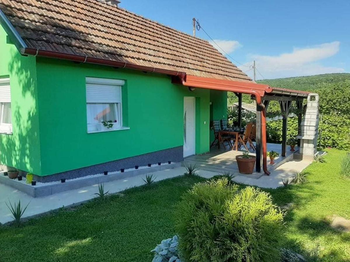 Willa Ruralna Kuca Za Odmor Viktorija Caglin Zewnętrze zdjęcie