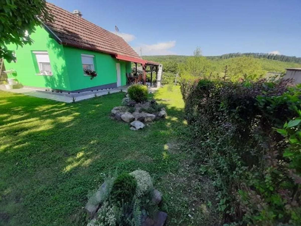 Willa Ruralna Kuca Za Odmor Viktorija Caglin Zewnętrze zdjęcie
